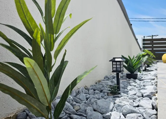 Stela * ルートラキ